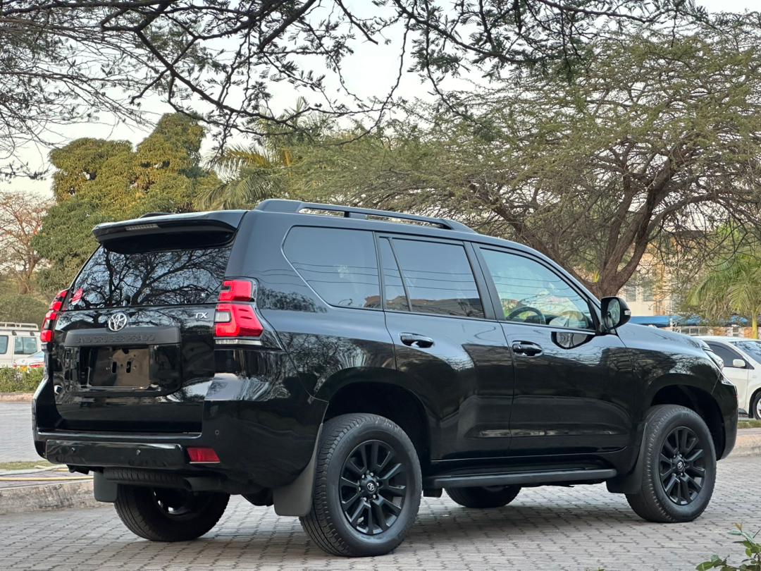 LandCruiser PRADO TX thumbnail 10